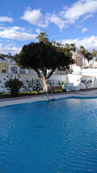 Precioso Apartamento Frente A La Playa Torre Del Mar Dış mekan fotoğraf
